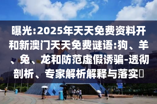 曝光:2025年天天免費(fèi)資料開和新澳門天天免費(fèi)謎語(yǔ):狗、羊、兔、龍和防范虛假誘騙-透徹剖析、專家解析解釋與落實(shí)?